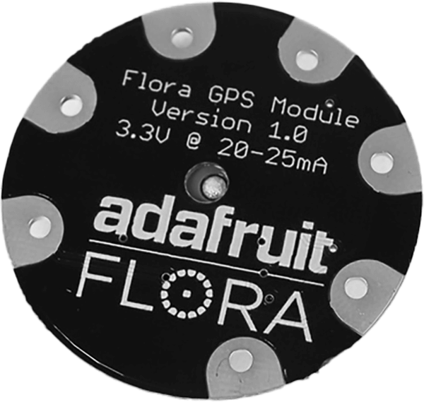 Flora