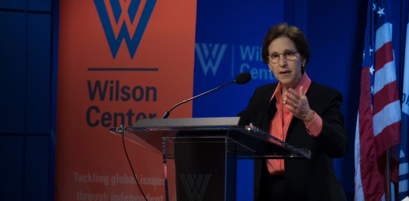 Cynthia Arnson speaking at Wilson Center NATCON panel regarding the Peace Process in Colombia