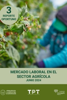 Report 3 Agriculture