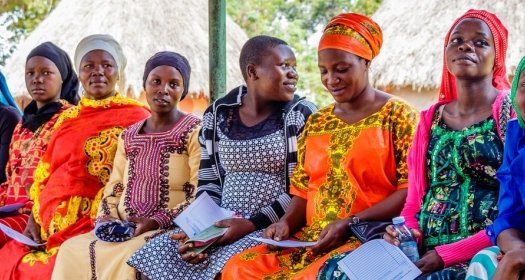 Group of pregnant women 