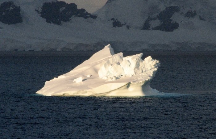 Iceberg