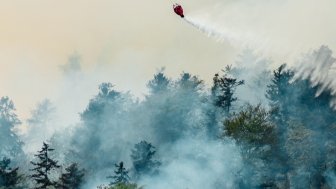 Wildfires in the Arctic
