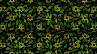 illustration star of david leaves