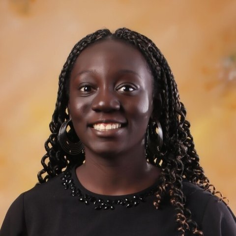 Bolu Adesanmi
