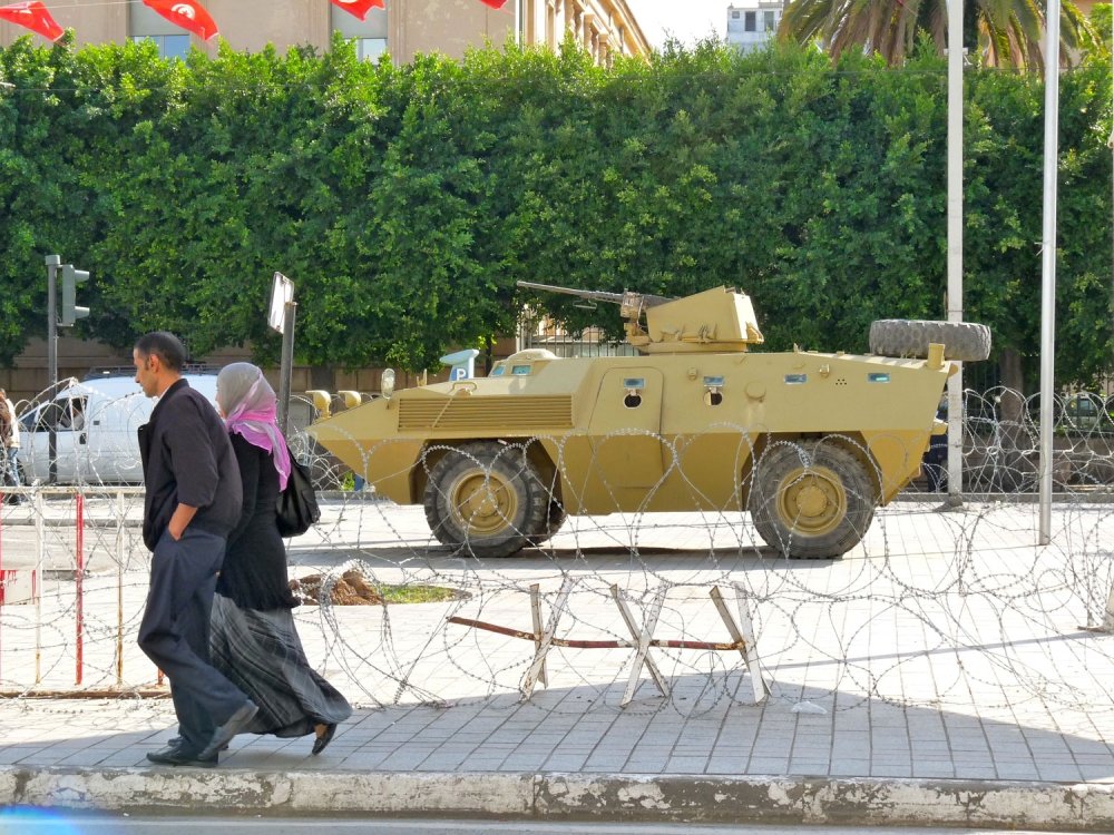 Scene from postrevolution Tunis, Tunisia. Photograph licensed under Creative Commons Attribution- NoDerivs 2.0 Generic (CC BY- ND 2.0)