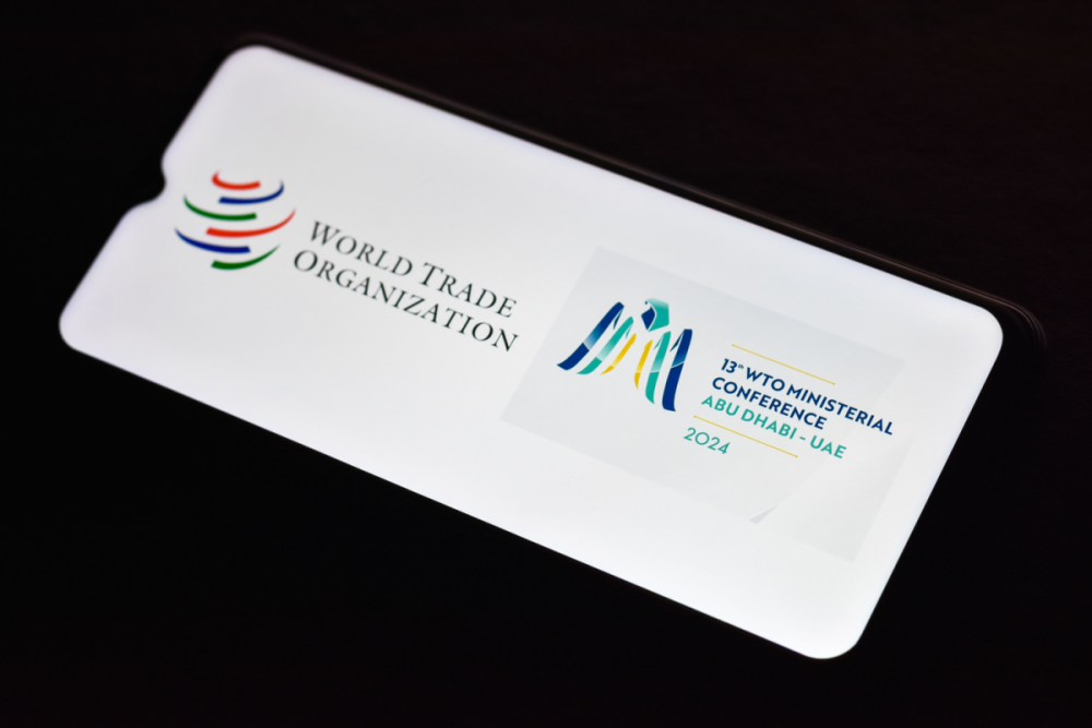 WTO and 13th Ministerial Conference Logo