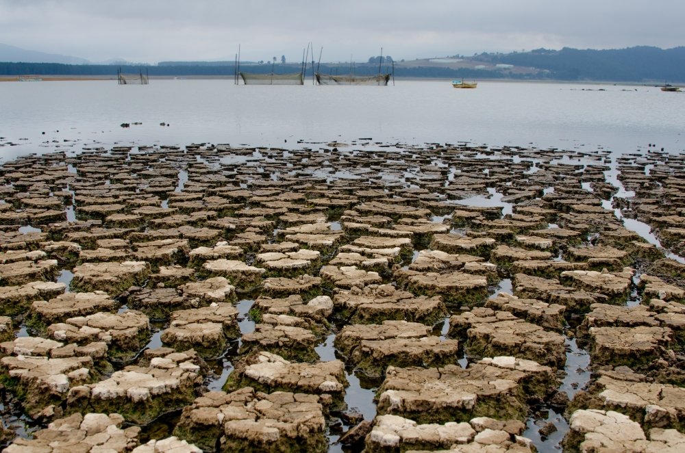 Image of lake, dry from drought in Hidalgo Mexico 