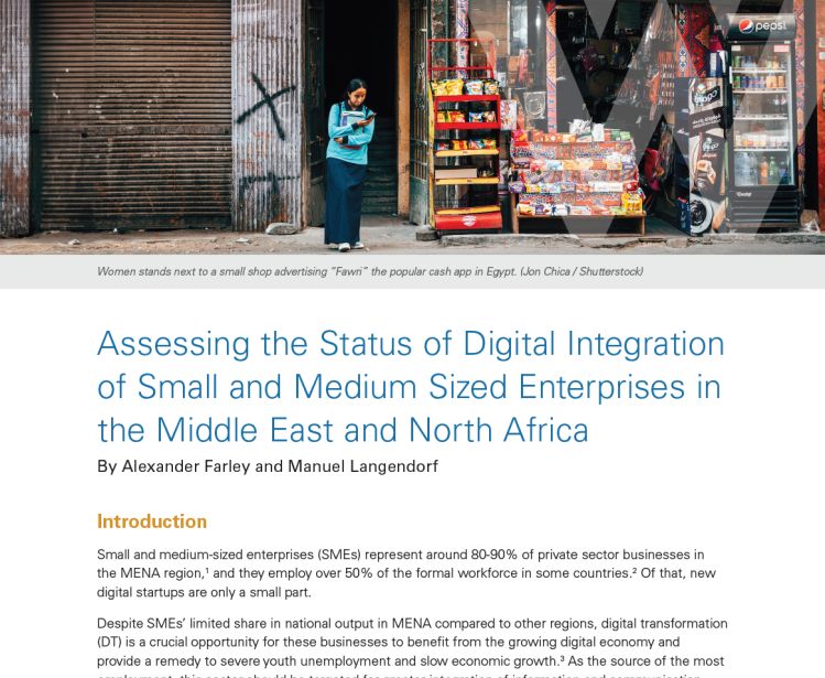 Assessing the Status of Digital Integration