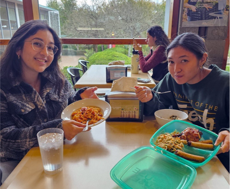 students using reusable food container boxes