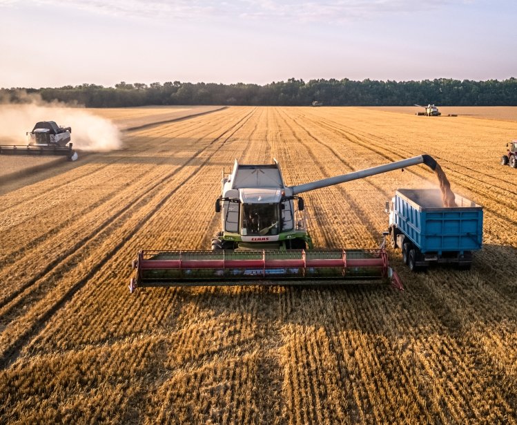 July 20, 2021, Russia, Krasnodar Territory. Harvester working in a wheat field at sunset