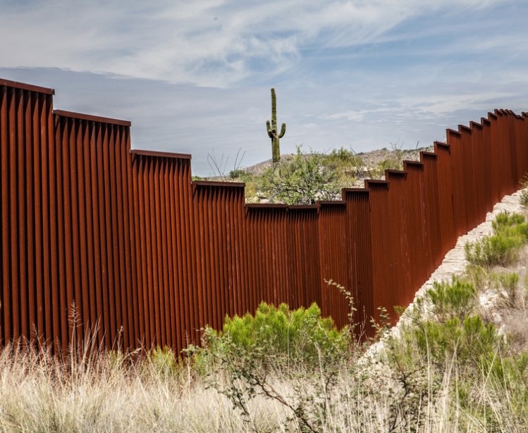 Border fence along Arizona border. A cactus is seen in distance