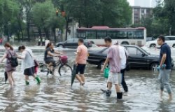 Sponge City: Solutions for China's Thirsty and Flooded Cities