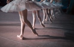 Dancers in white tutus performing swan lake