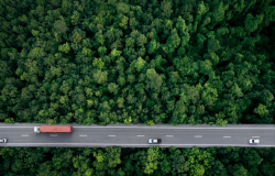 Aerial view of a road through a forest