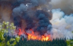 wild forest fire in Canada