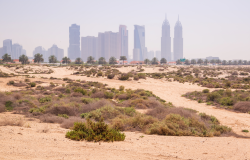 Jumeirah Beach, UAE