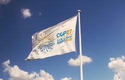 COP 27 Flag