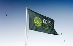 MEP_COP28