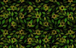 illustration star of david leaves